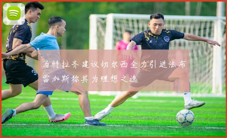 马特拉齐建议切尔西全力引进法布雷加斯称其为理想之选
