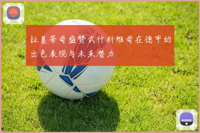 拉基蒂奇盛赞武什科维奇在德甲的出色表现与未来潜力